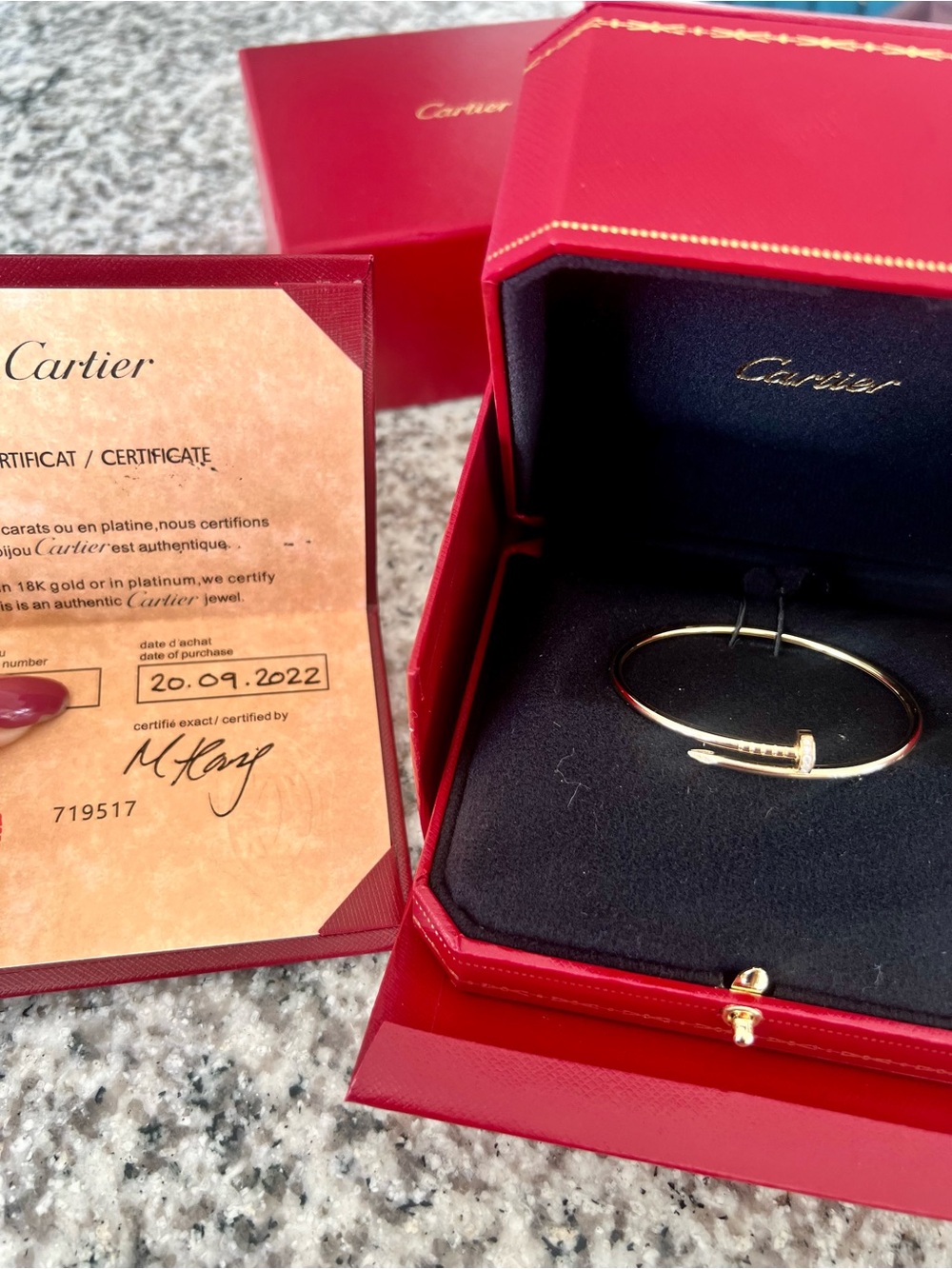 Juste Un Clou with Diamonds - Picture 1 of 7